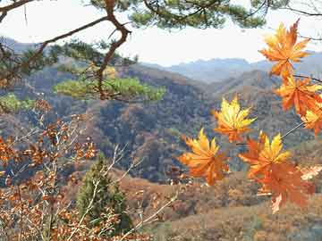 婆媳矛盾无限扩大-婆媳妯娌矛盾